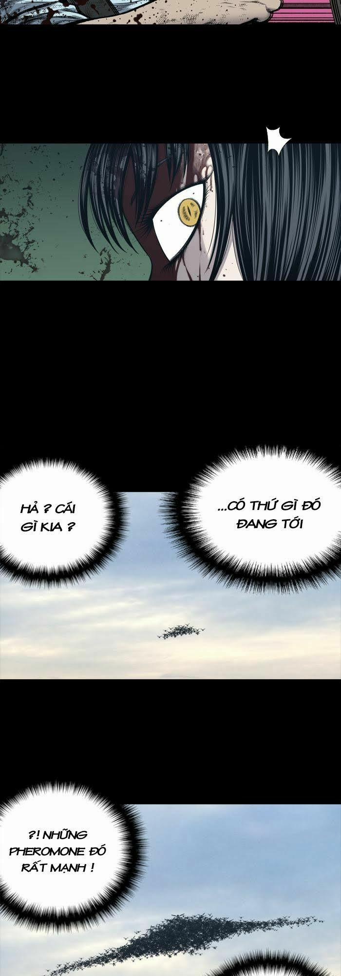 Thảm Họa Ong Độc 233 trang 30