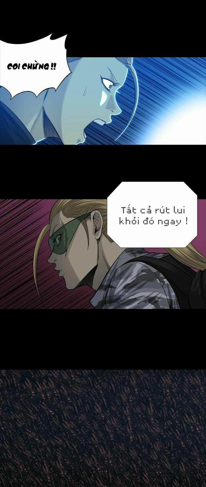 Thảm Họa Ong Độc 233 trang 5