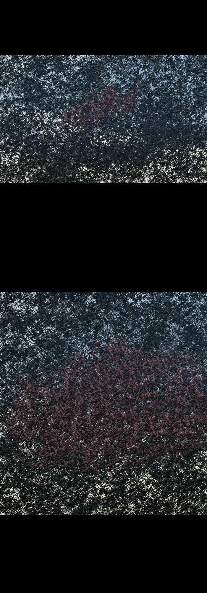 Thảm Họa Ong Độc 234 trang 17