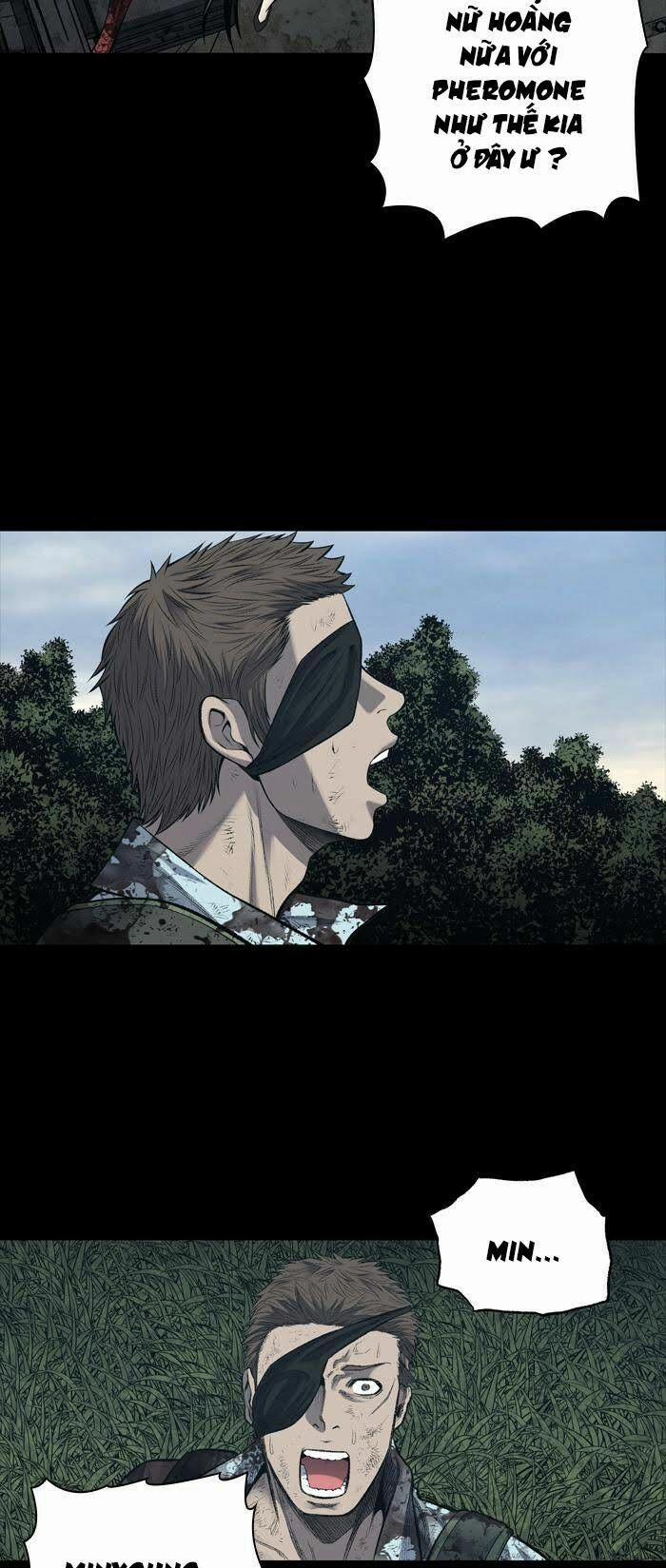 Thảm Họa Ong Độc 234 trang 3