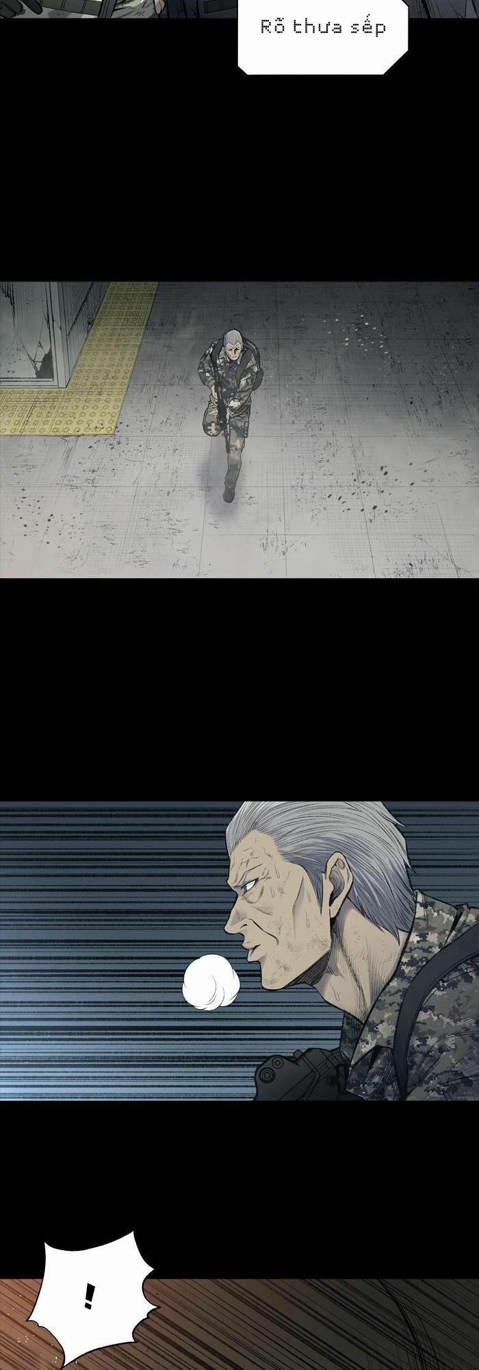 Thảm Họa Ong Độc 236 trang 28