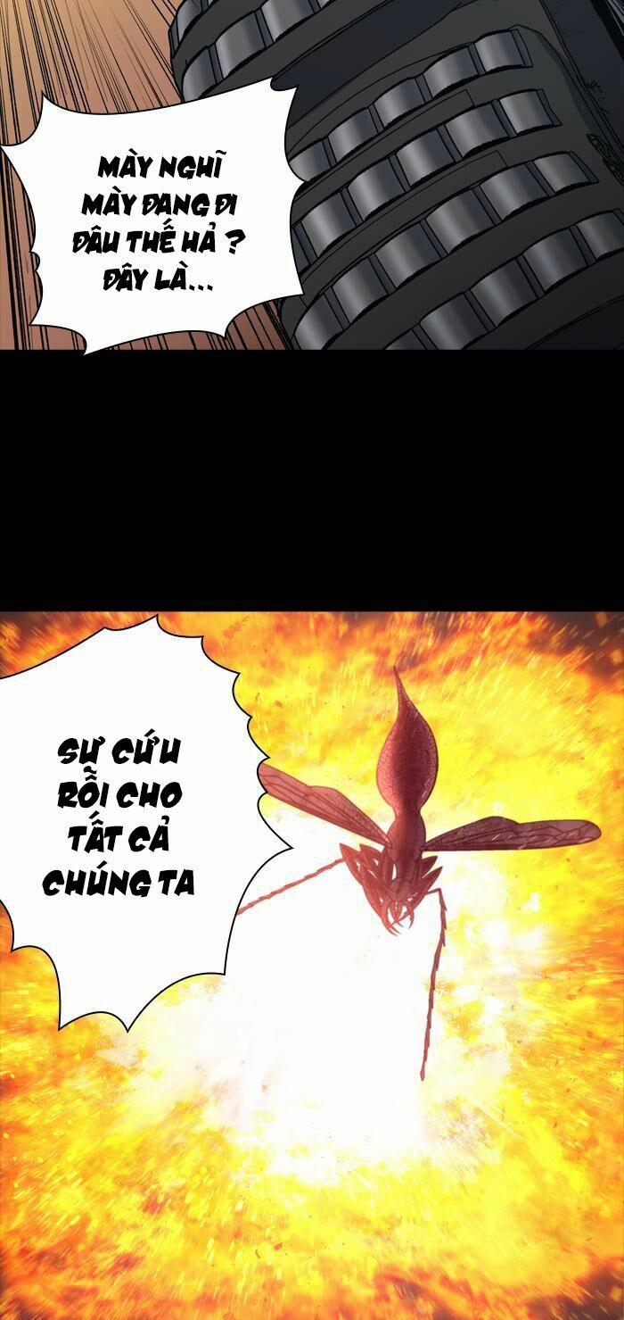 Thảm Họa Ong Độc 241 trang 15