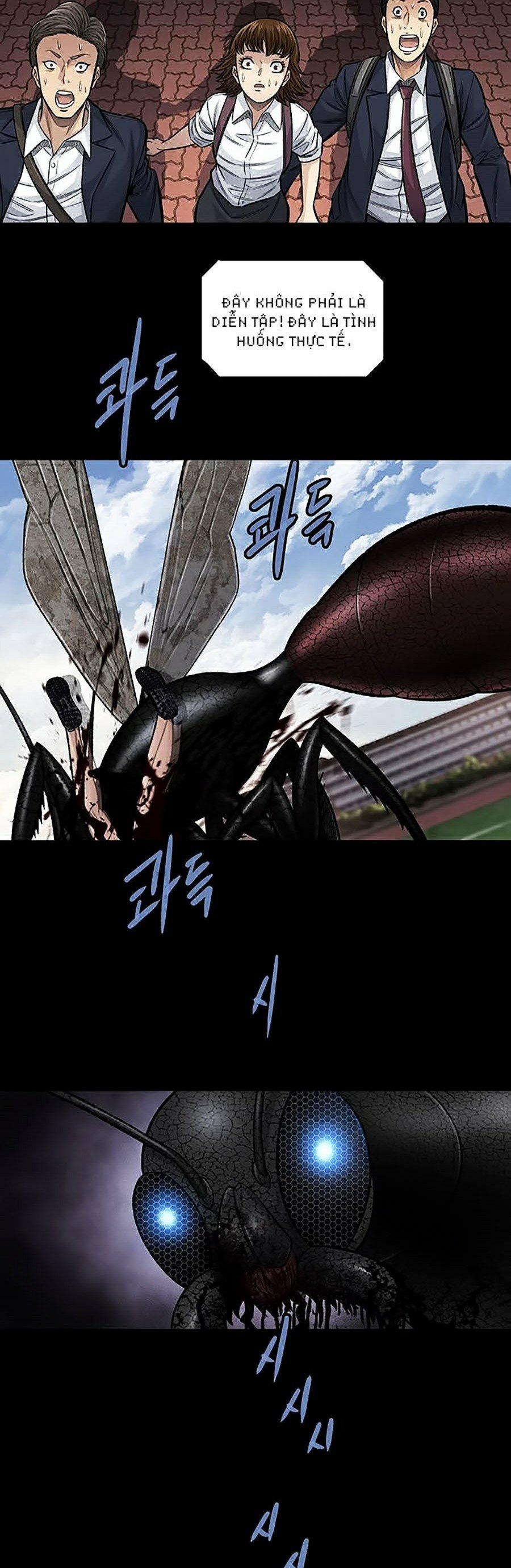 Thảm Họa Ong Độc 243 trang 69