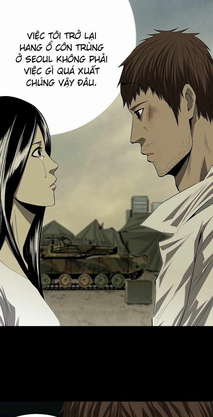 Thảm Họa Ong Độc 31 trang 15