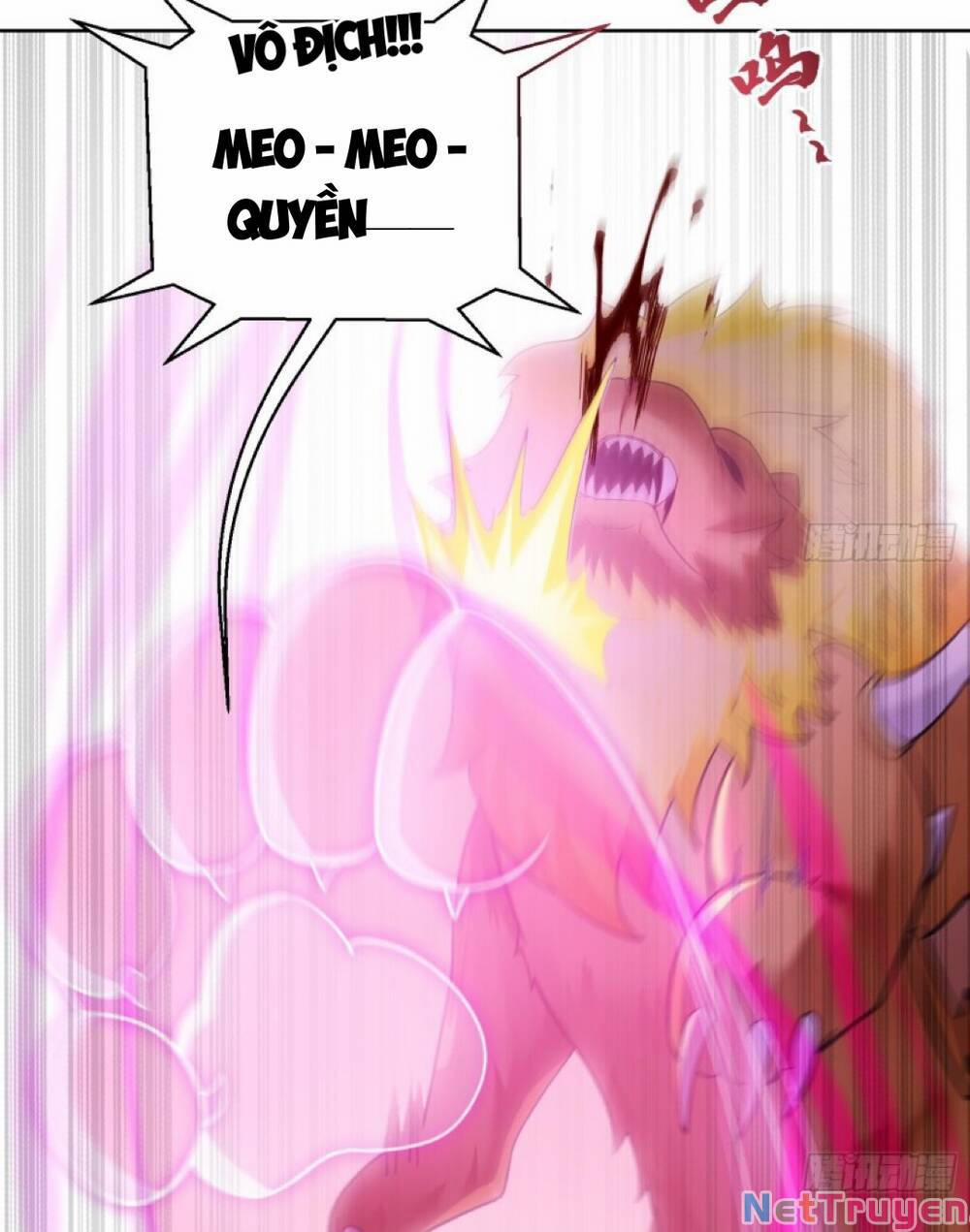 Thần Cấp Khế Ước : Bắt Đầu Với Một Con Mèo 2 trang 12
