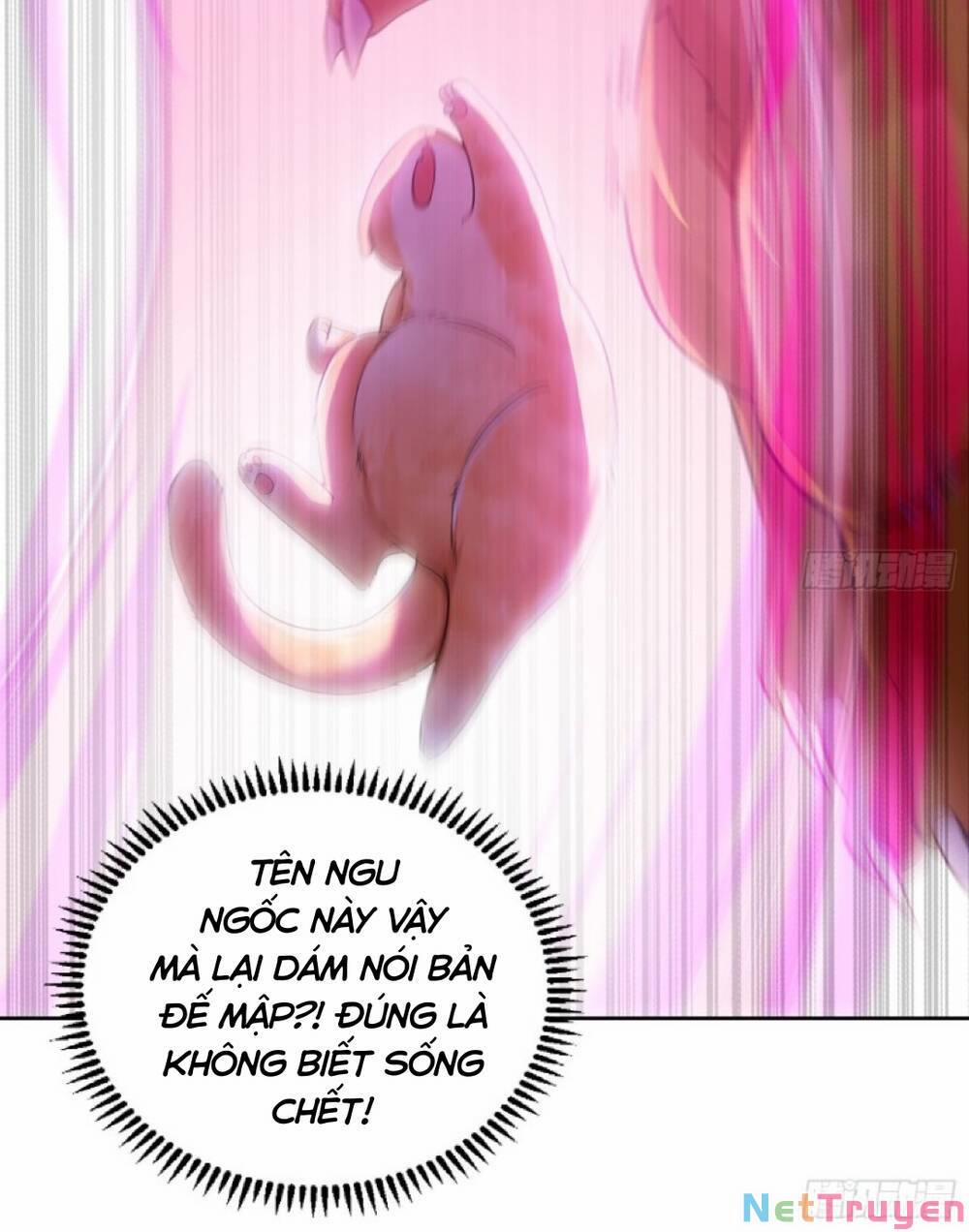 Thần Cấp Khế Ước : Bắt Đầu Với Một Con Mèo 2 trang 13