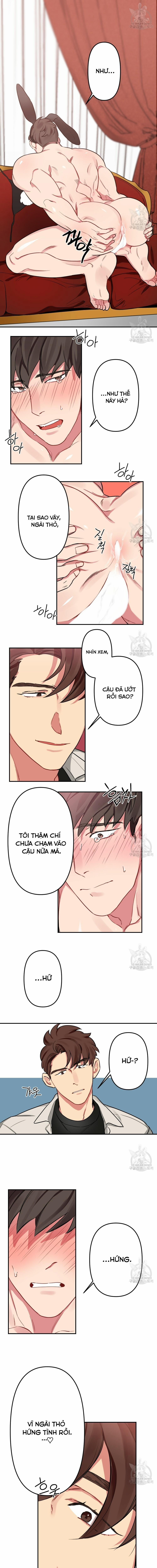 Tháng Nào Cũng Là Ngực Bự 11 trang 6