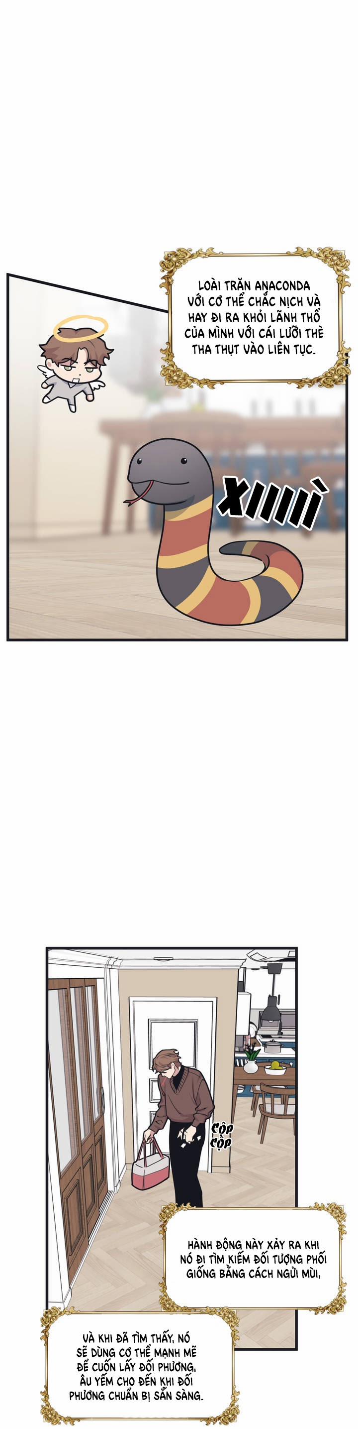 Thanh Âm Cực Đại 11 trang 1