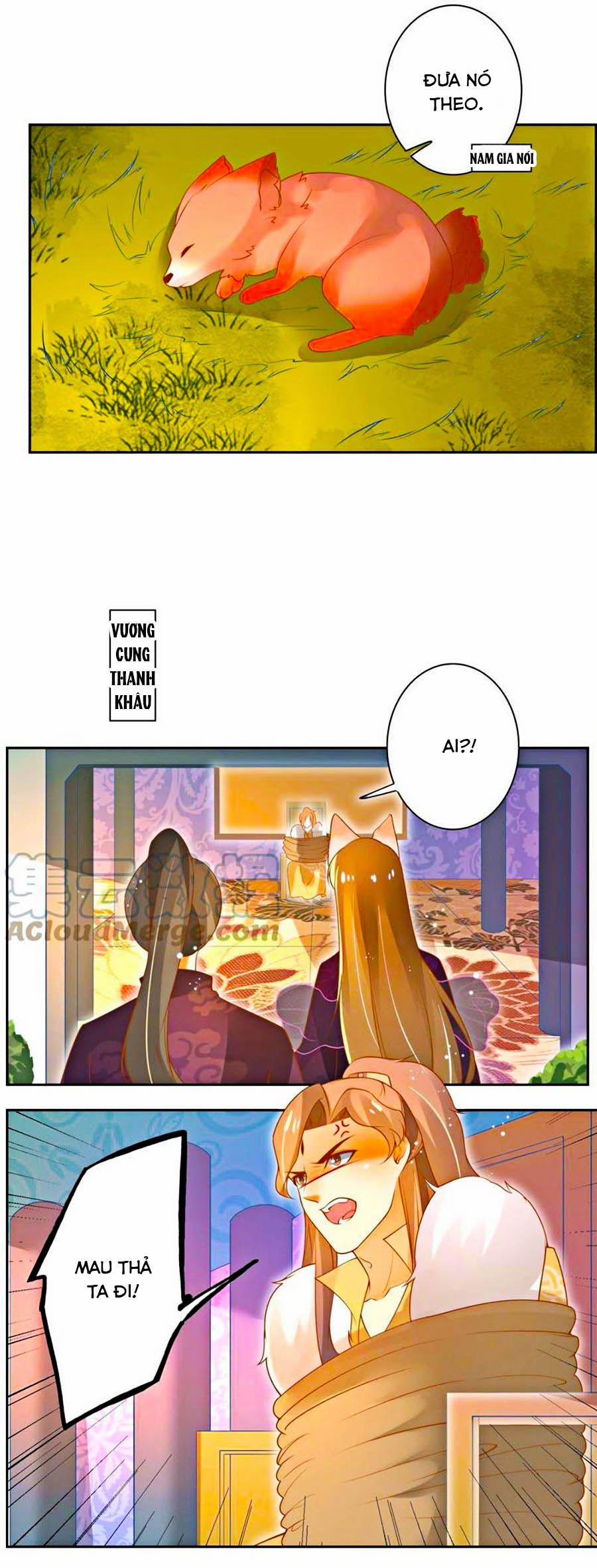 Thanh Khâu Nữ Đế: Phu Quân Muốn Tạo Phản 112 trang 7