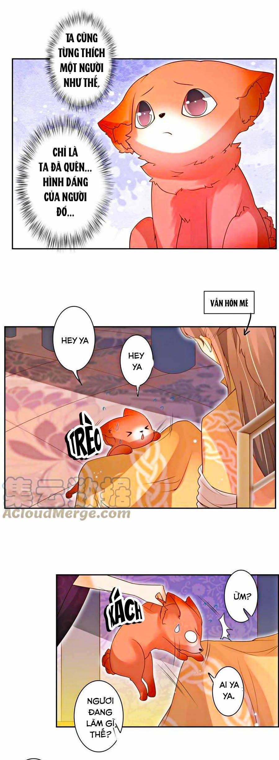 Thanh Khâu Nữ Đế: Phu Quân Muốn Tạo Phản 113 trang 6