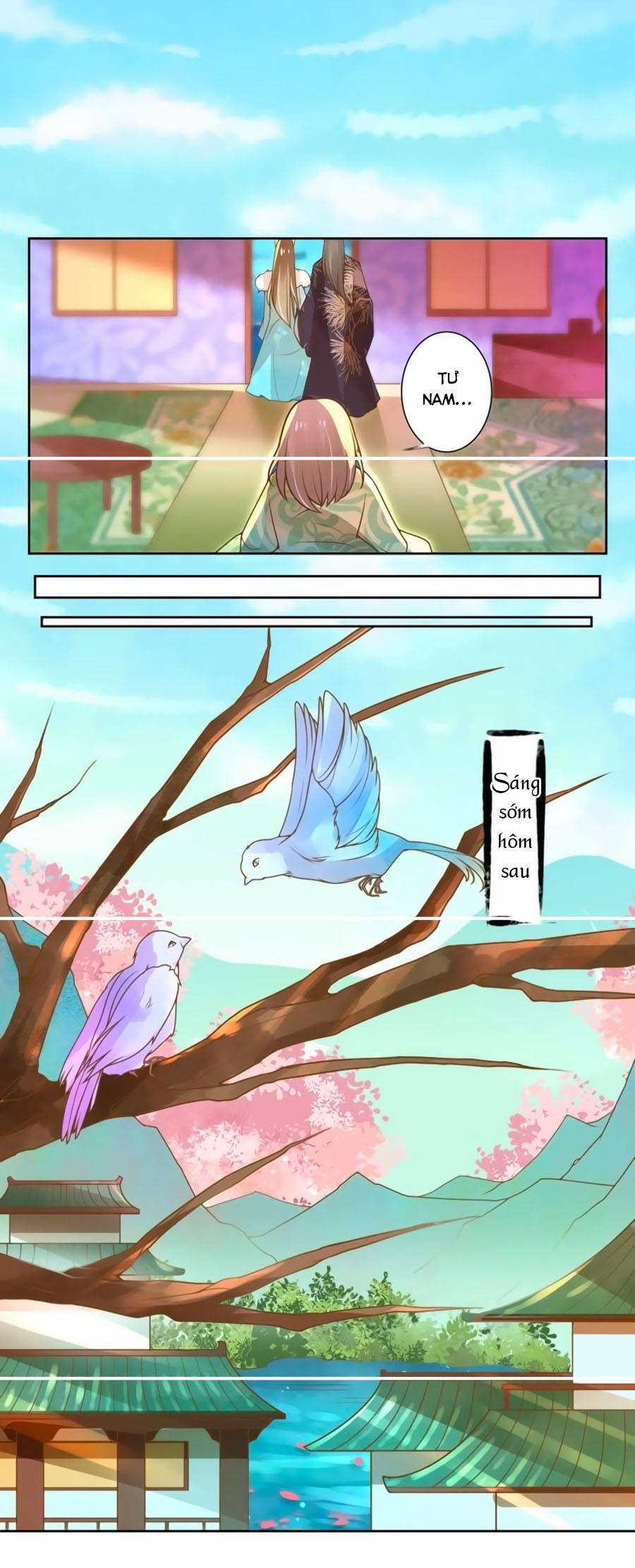 Thanh Khâu Nữ Đế: Phu Quân Muốn Tạo Phản 13 trang 11