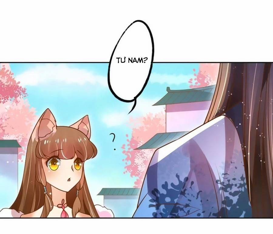 Thanh Khâu Nữ Đế: Phu Quân Muốn Tạo Phản 19 trang 19