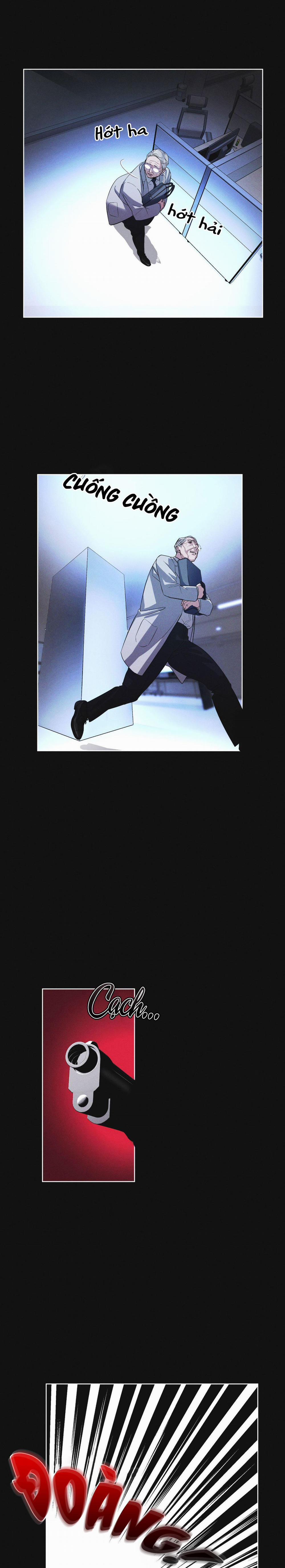 Thành Phố Cầu Vồng 11 trang 1