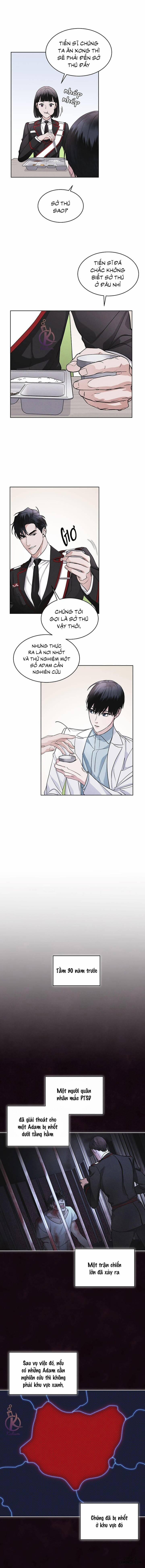 Thành Phố Cầu Vồng 15 trang 1