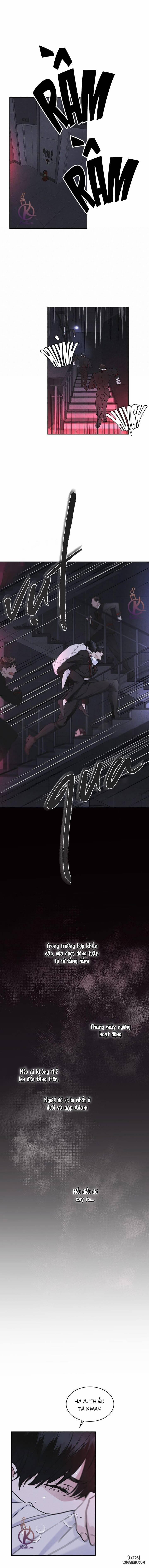 Thành Phố Cầu Vồng 15 trang 5