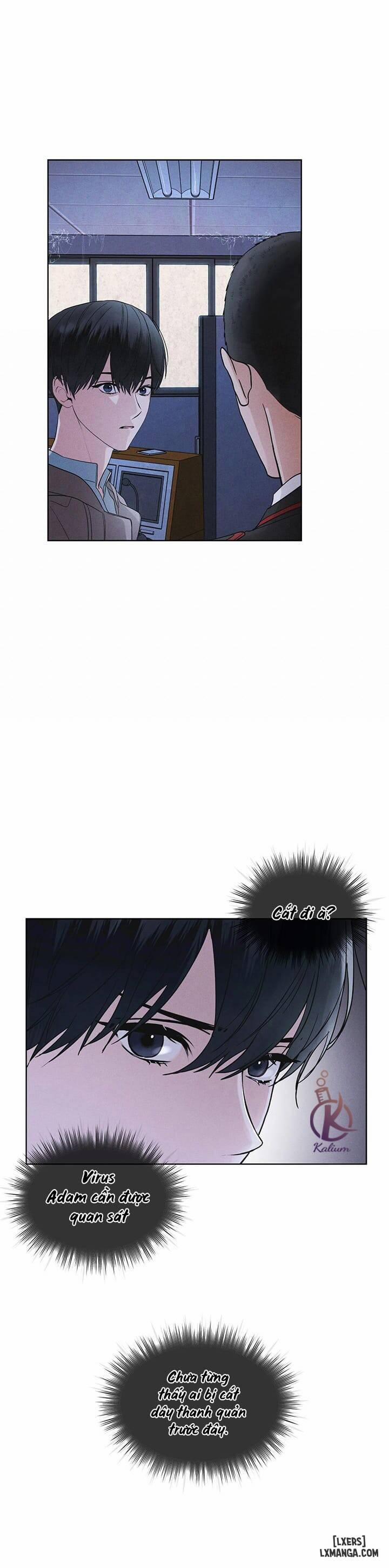 Thành Phố Cầu Vồng 20 trang 17