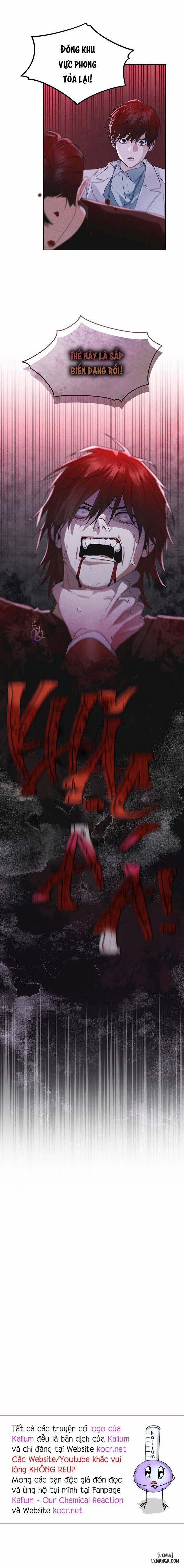 Thành Phố Cầu Vồng 40 trang 12