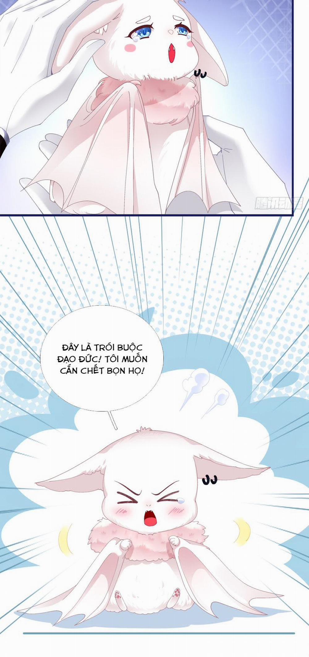 Thánh Tâm Không Dễ Chọc 19 trang 34