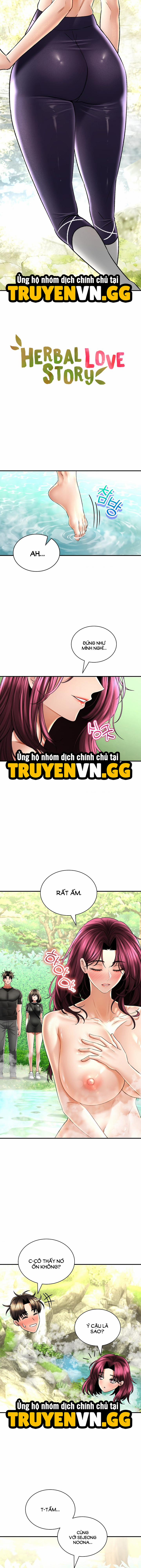 Thảo Dược Mê Tình Chương 62 Trang 3