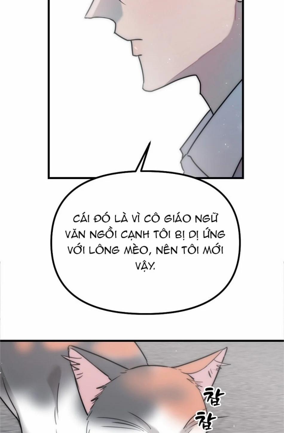 Thầy Giáo Sa Lưới 5 trang 11