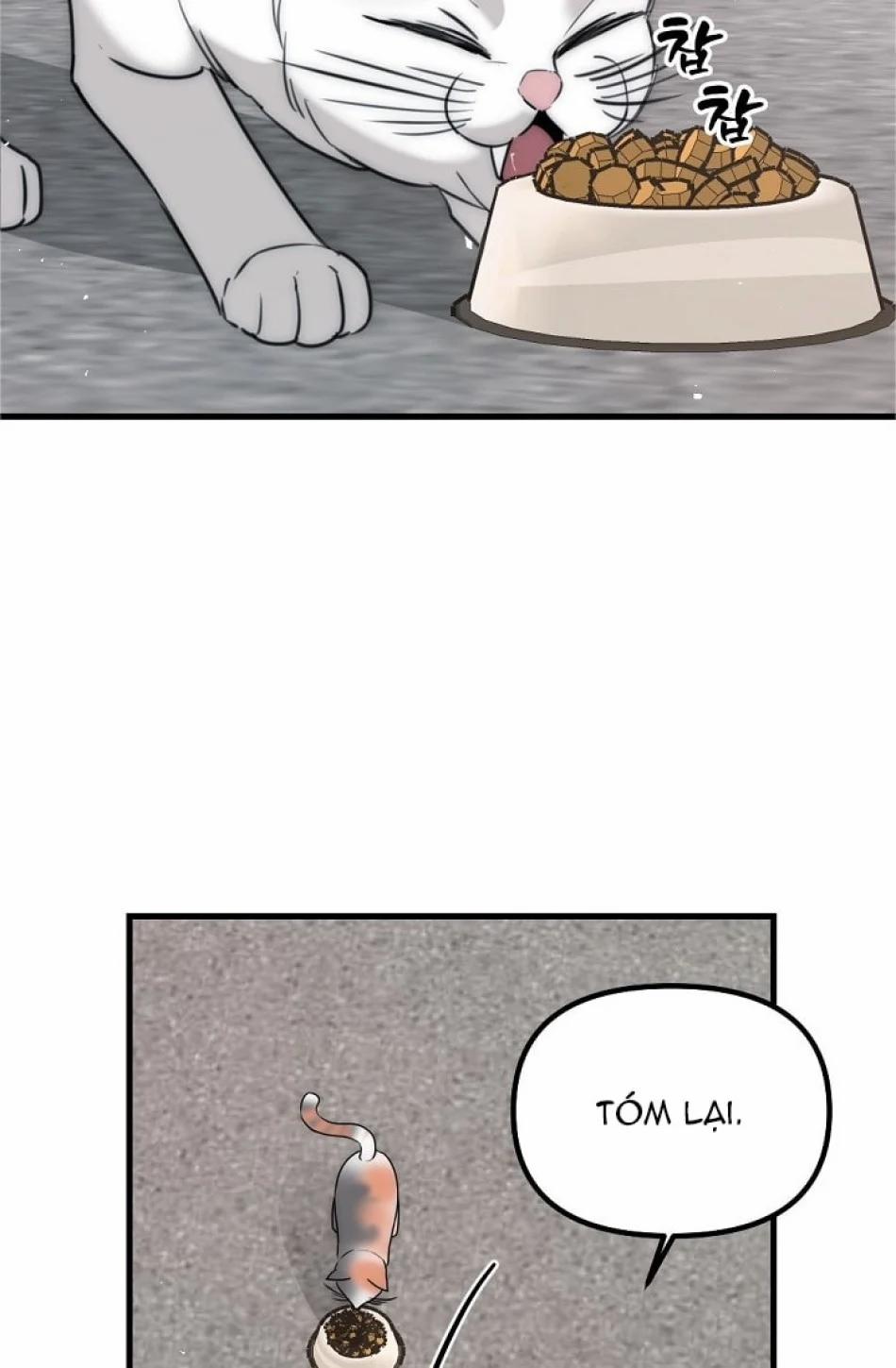 Thầy Giáo Sa Lưới 5 trang 12
