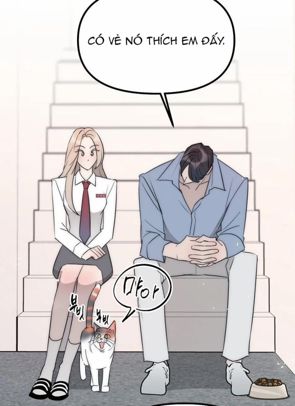 Thầy Giáo Sa Lưới 8 trang 56