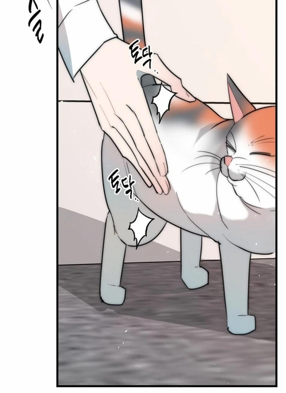 Thầy Giáo Sa Lưới 8 trang 65