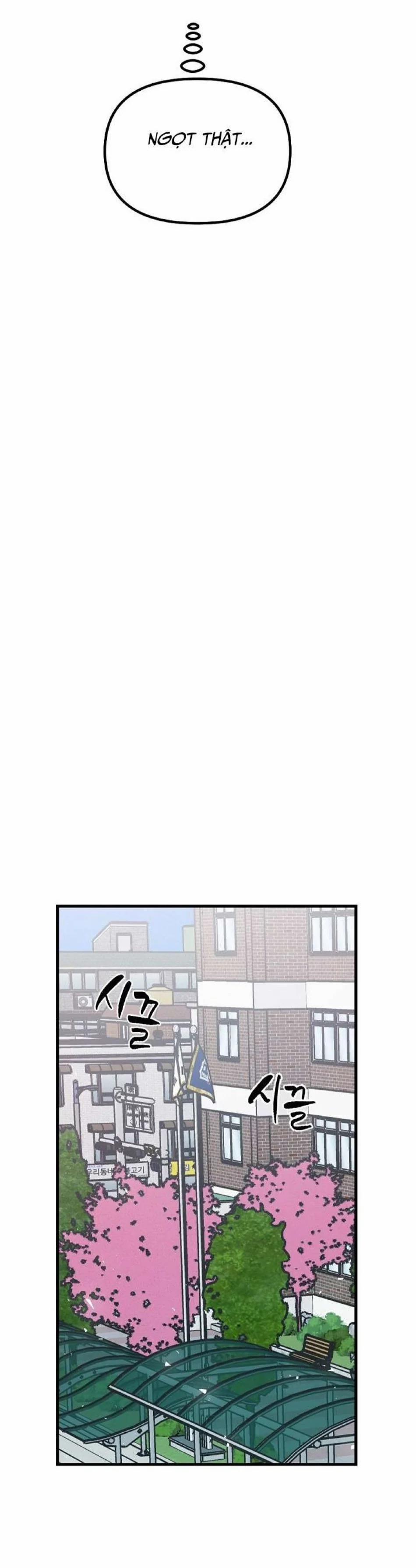 Thầy Giáo Sa Lưới 9 trang 13