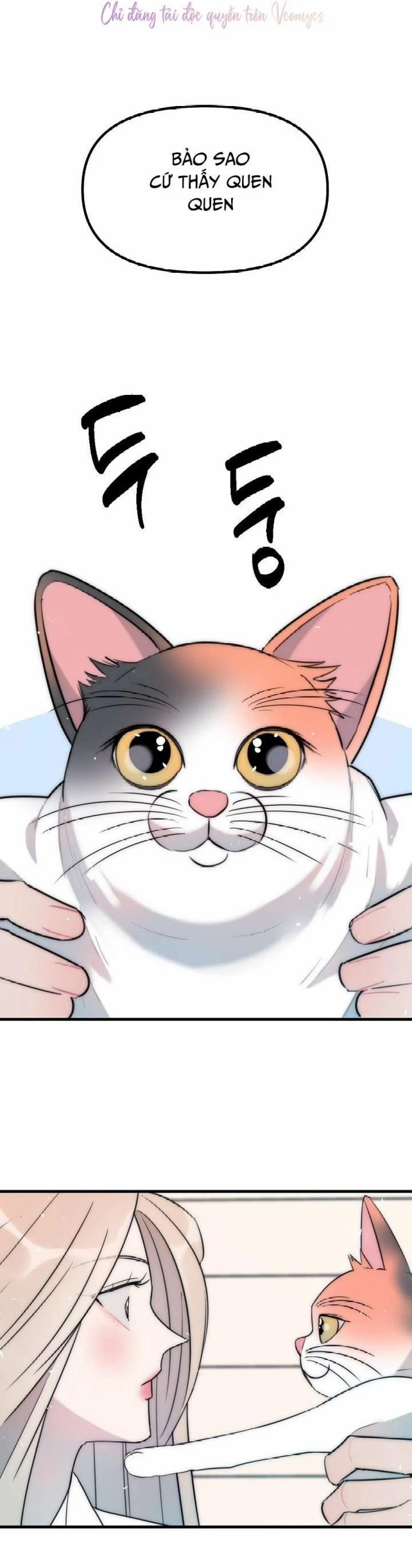 Thầy Giáo Sa Lưới 9 trang 5