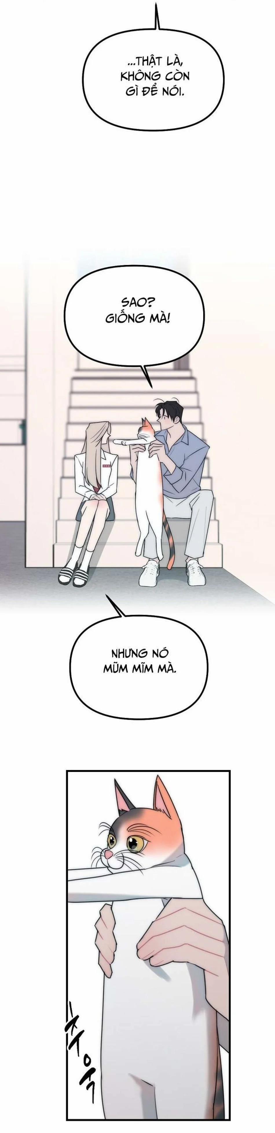 Thầy Giáo Sa Lưới 9 trang 7