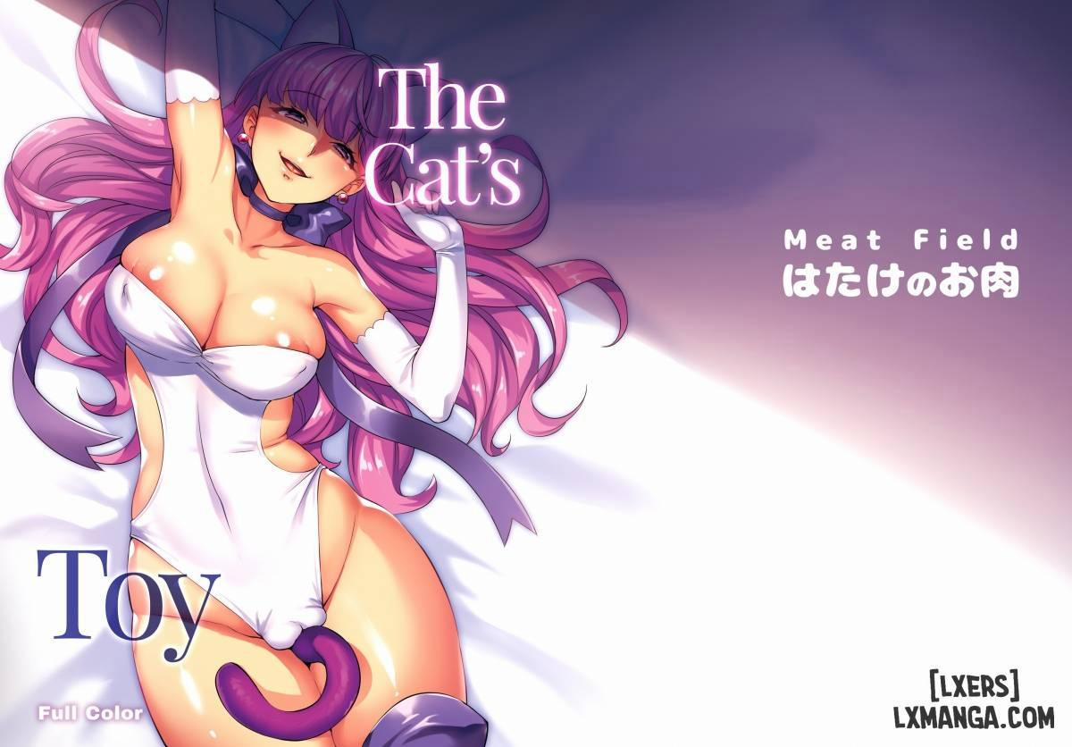 The Cat's Toyy 1 trang 14