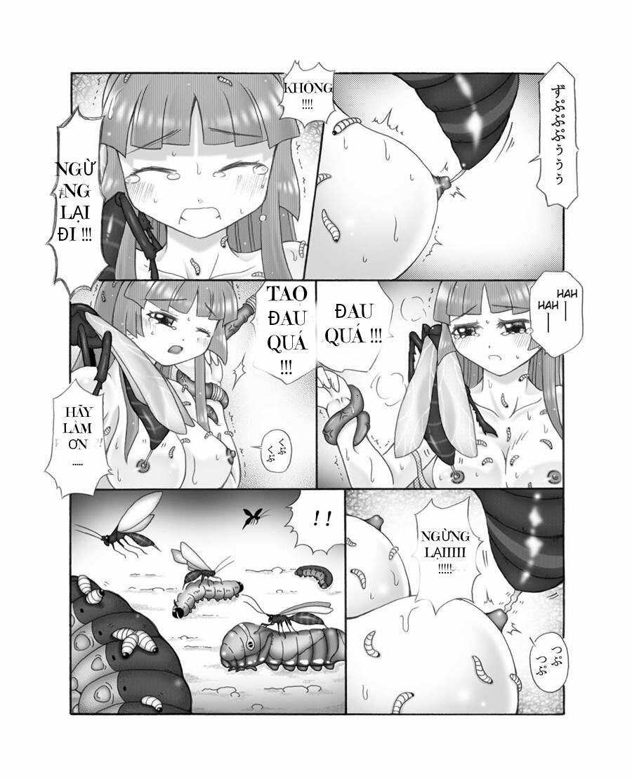 Thế giới côn trùng 3 trang 6