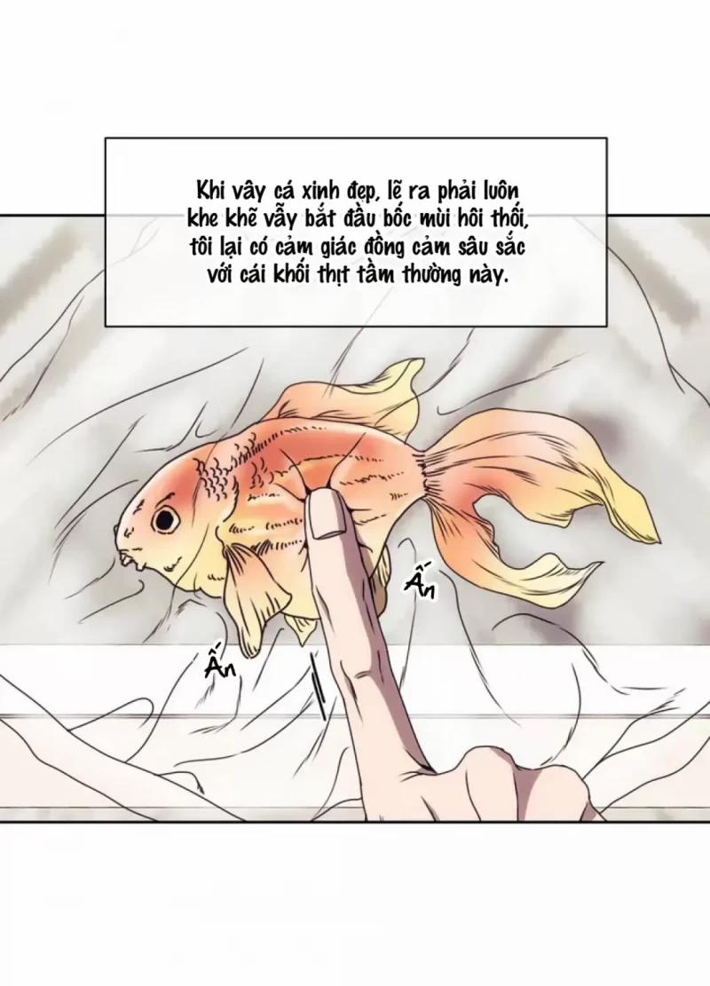 Thế Giới Của Những Quân Cờ 1 trang 30