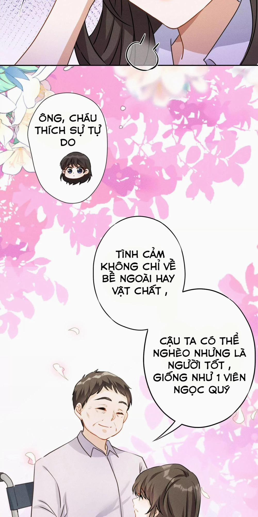 The Most Heroic Son-In-Law 2 trang 25