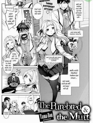 Đọc truyện tranh The Purebred and the Mutt
