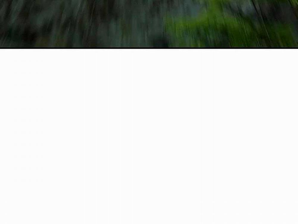 Thể Thao Cực Hạn 459.5 trang 31