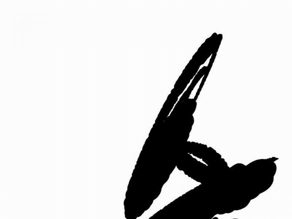 Thể Thao Cực Hạn 459.5 trang 9