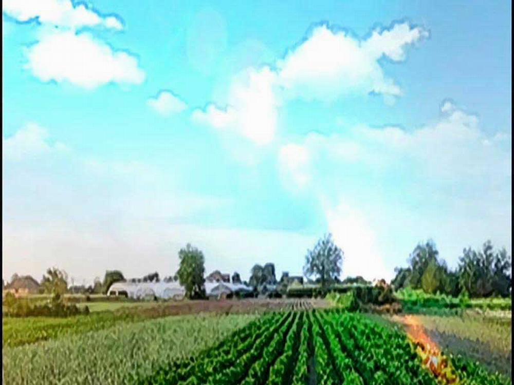 Thể Thao Cực Hạn 463.5 trang 24