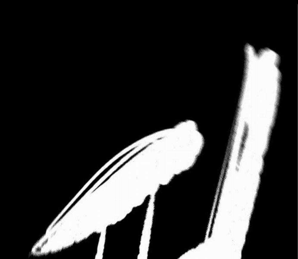 Thể Thao Cực Hạn 474 trang 170