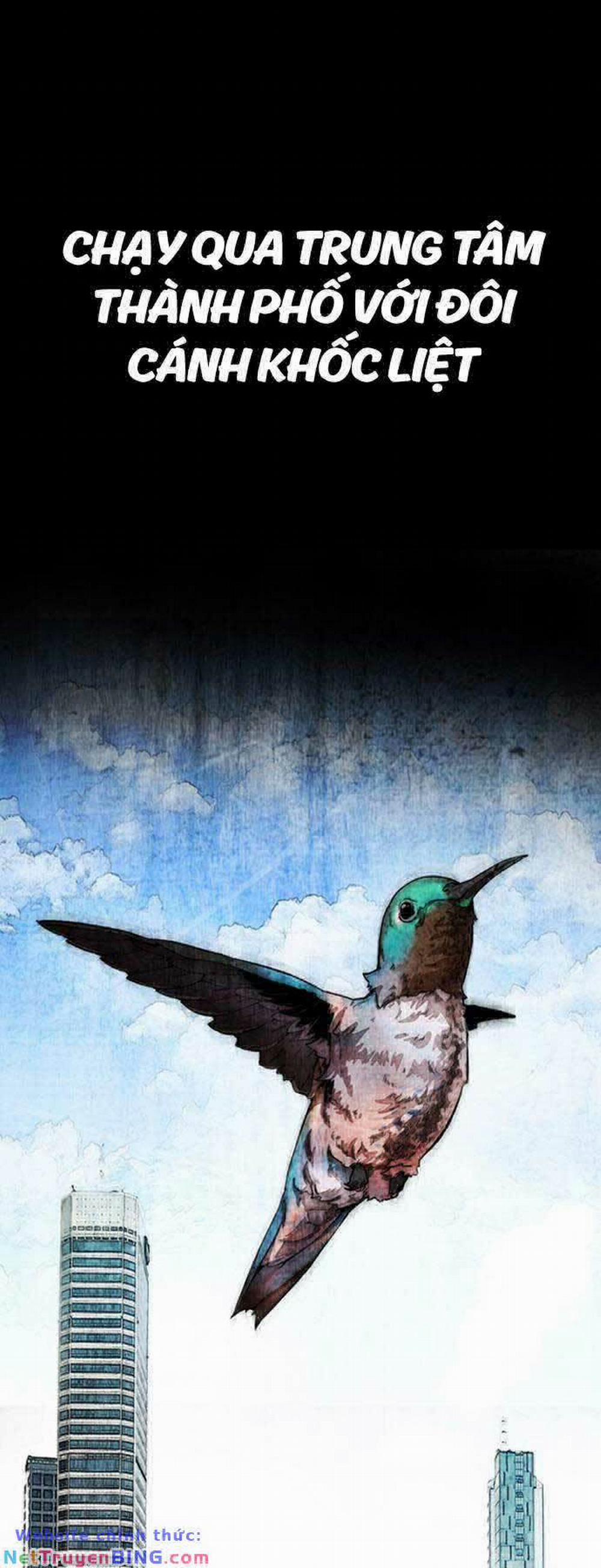 Thể Thao Cực Hạn 479 trang 44