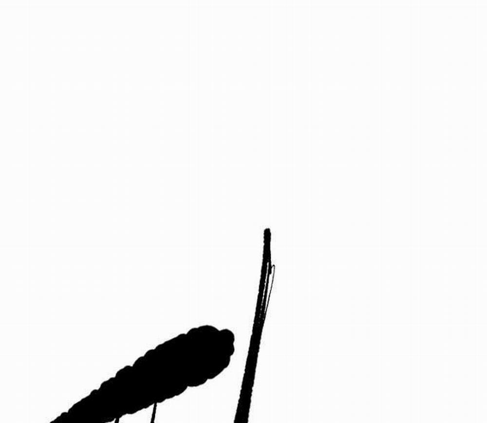 Thể Thao Cực Hạn 482 trang 24