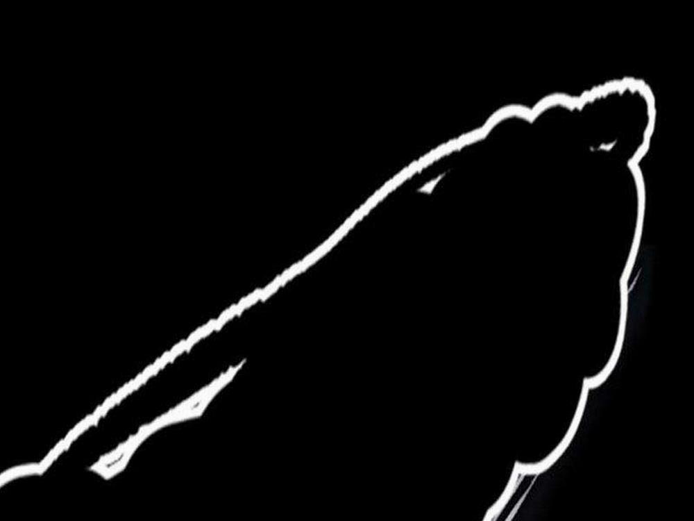 Thể Thao Cực Hạn 492.5 trang 216