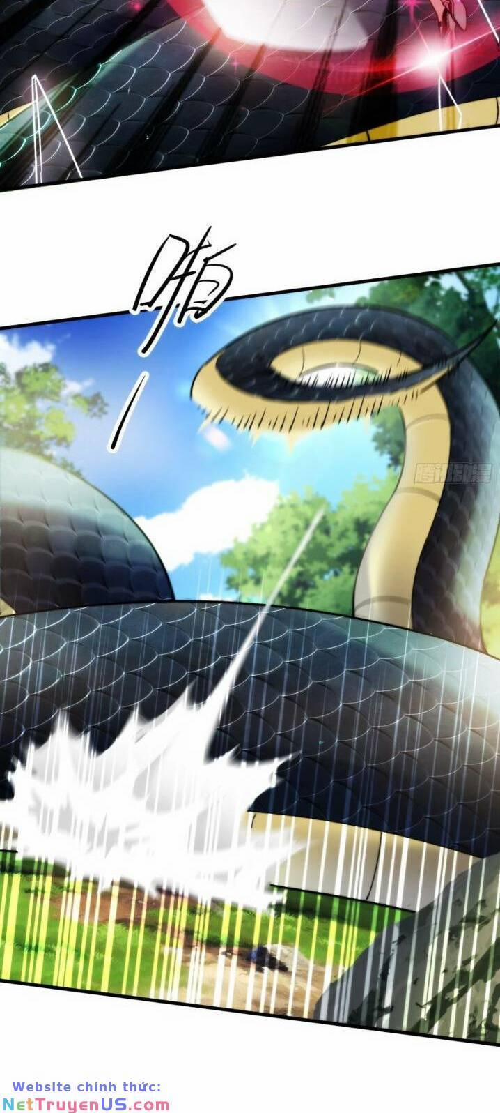 Thê Tử Của Ta Là Đại Lão Đại Thừa Kỳ 12 trang 21