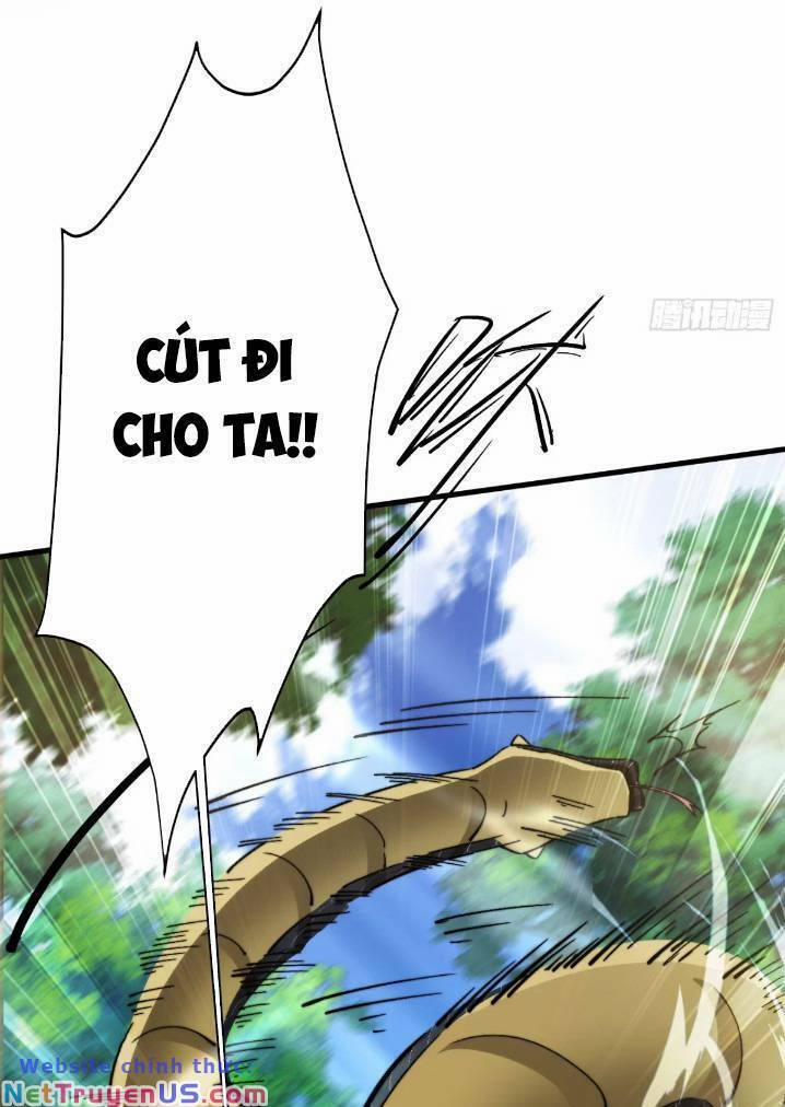 Thê Tử Của Ta Là Đại Lão Đại Thừa Kỳ 12 trang 28