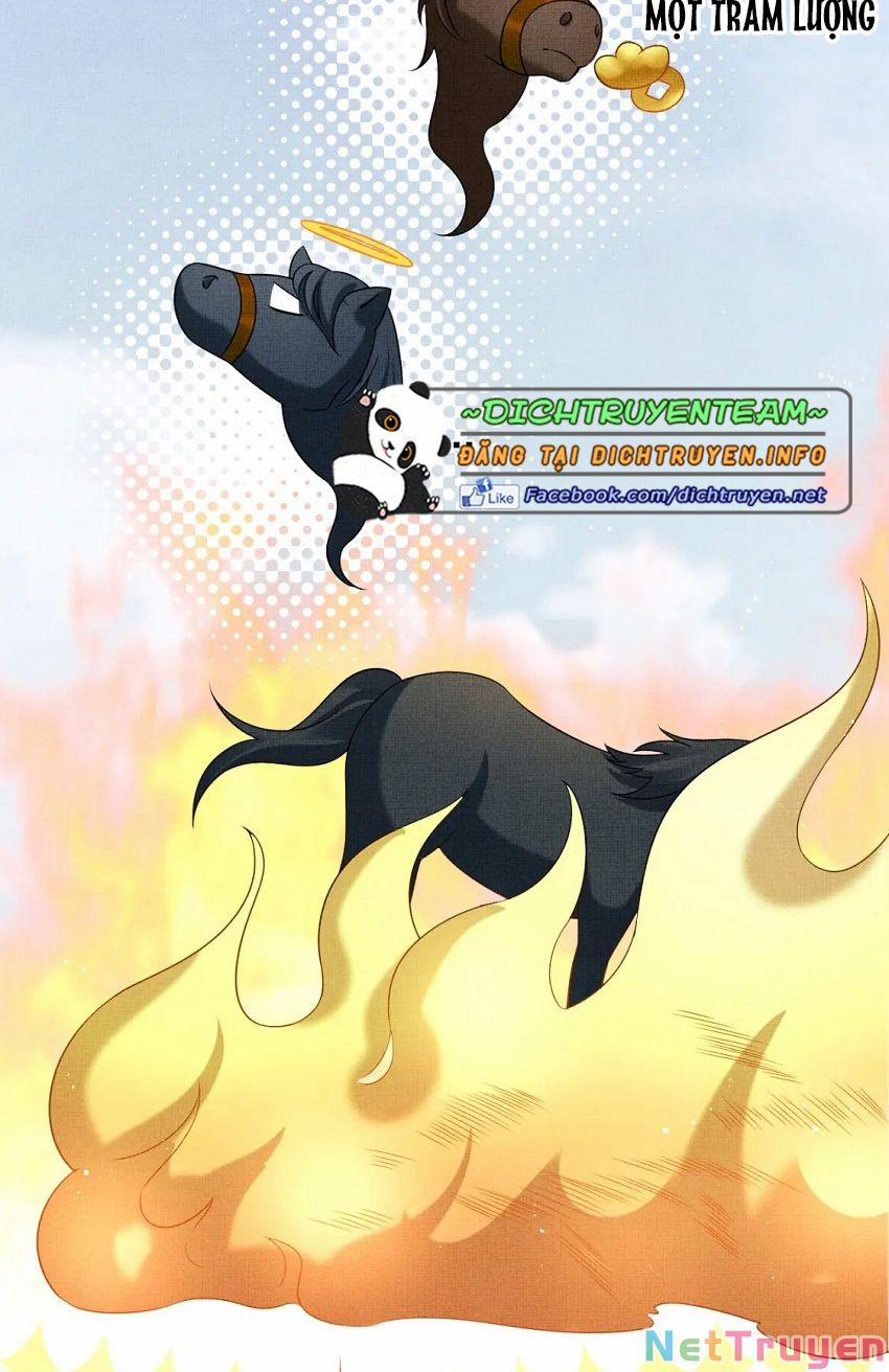 Thê Vi Thượng 64 trang 9