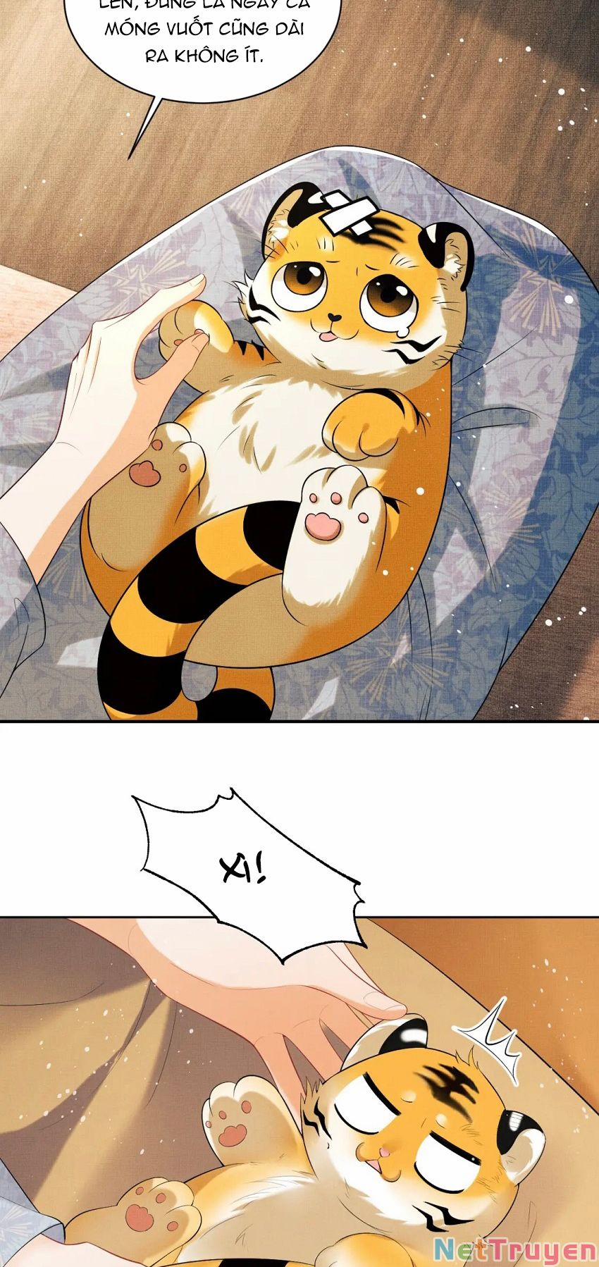 Thê Vi Thượng 94 trang 8