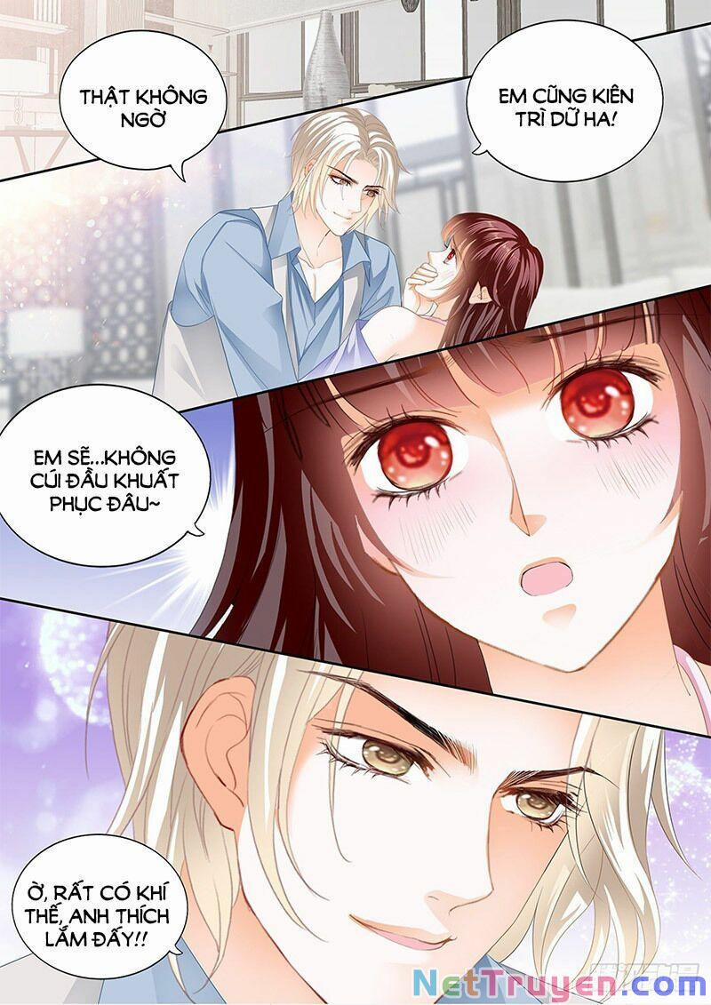 Thiểm Hôn Kiều Thê 295 trang 11