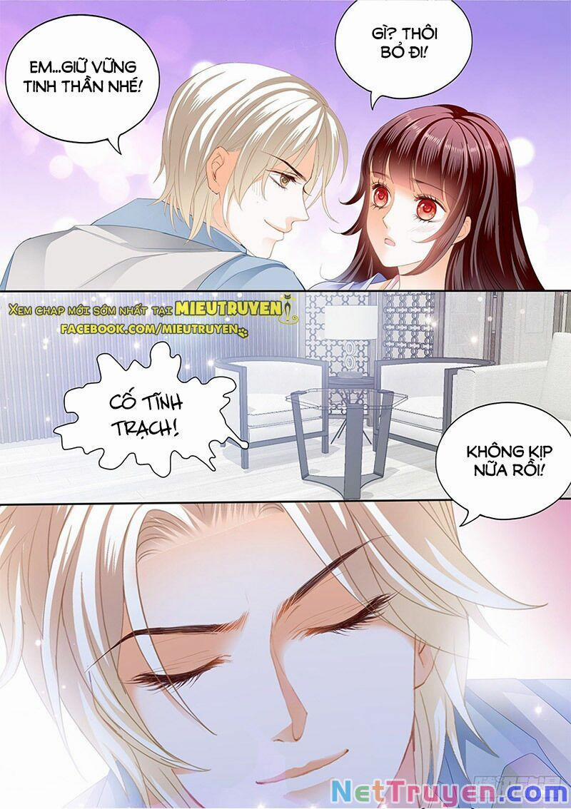 Thiểm Hôn Kiều Thê 295 trang 9