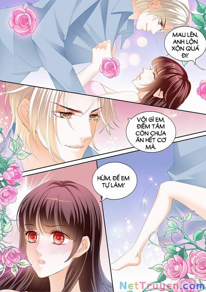 Thiểm Hôn Kiều Thê 296 trang 4