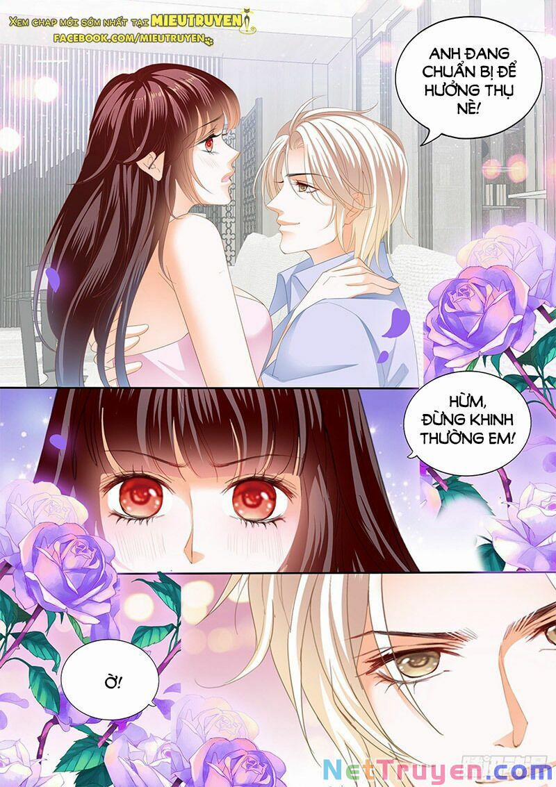Thiểm Hôn Kiều Thê 296 trang 7